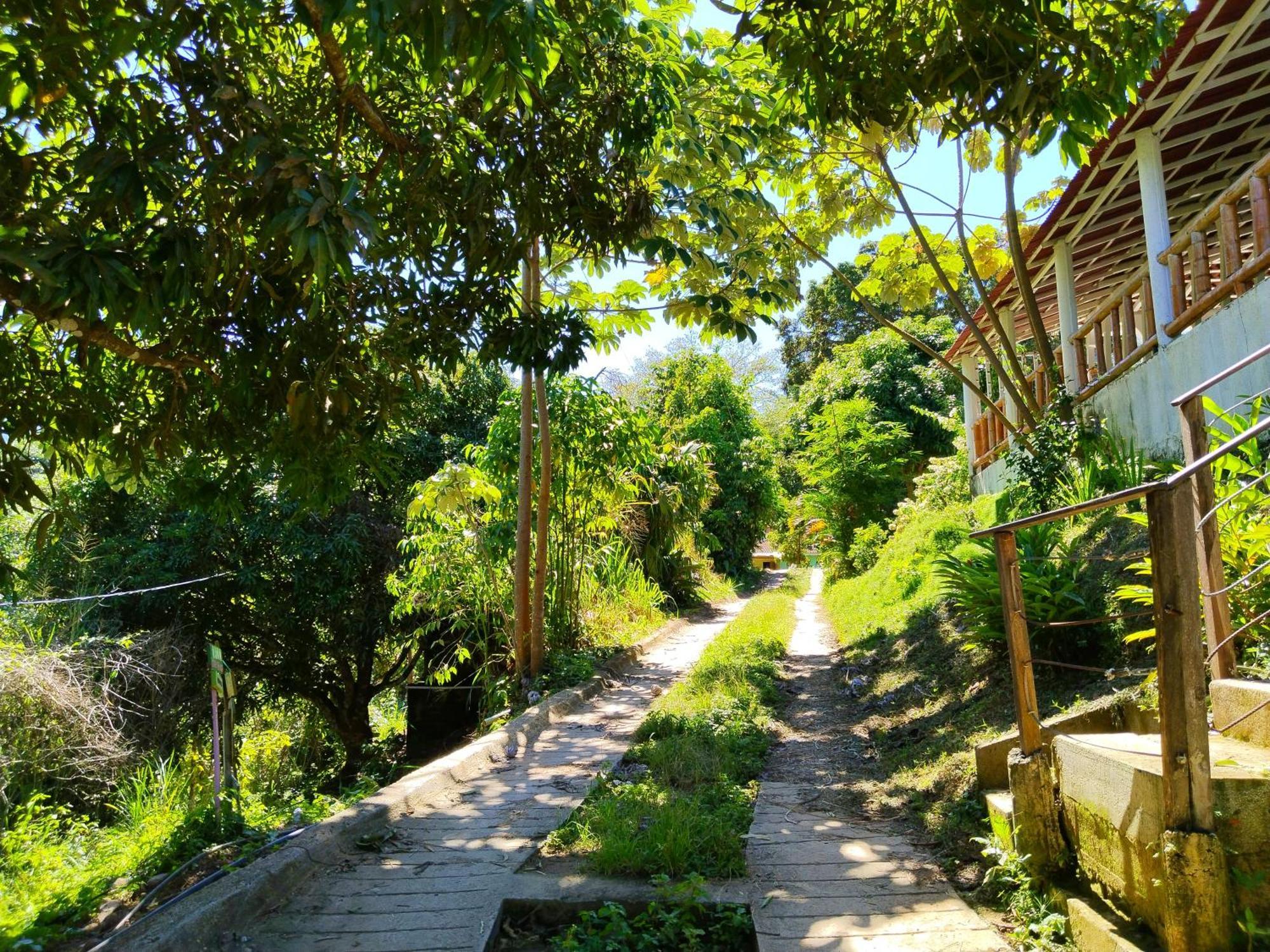 Casa Magica Βίλα Minca Εξωτερικό φωτογραφία