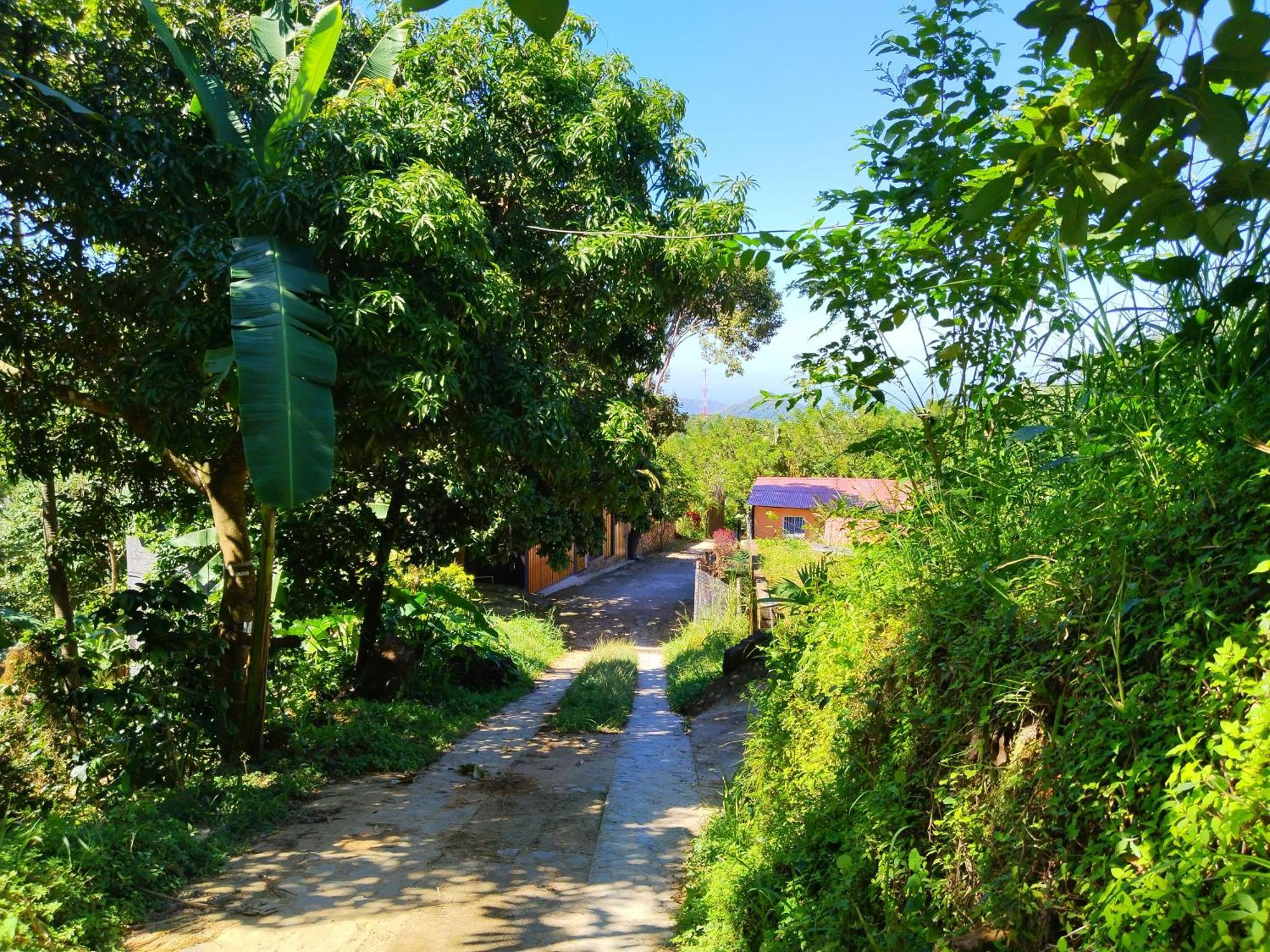 Casa Magica Βίλα Minca Εξωτερικό φωτογραφία
